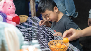 Phố Đêm The 826 EC